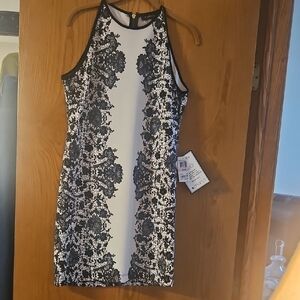 Elegant Black and White Lace Impression Dress. Body Con Like, But Has Stretch.